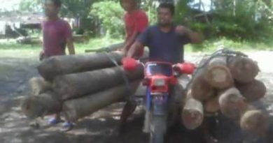 Die Philippinen im Video - TMX 155 als Baumtransporter