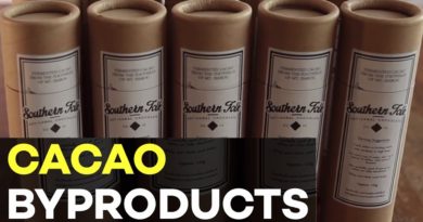 Kakao, - Philippinische landwirtschaftliche Produkte