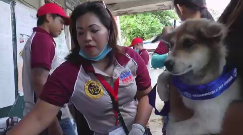 Die Philippinen im Video - Tollwut - Die Philippinen reagieren