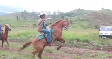 Die Philippinen im Video - Auf einer Ranch in Impasugon in der Provinz Bukidnon
