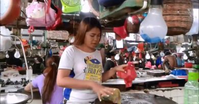 Die Philippinen im Video - Palao ist der öffentliche Markt der Stadt Iligan in Lanao del Norte.