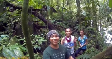 Die Philippinen im Video - CEDAR Flusswanderung in Bukidnon