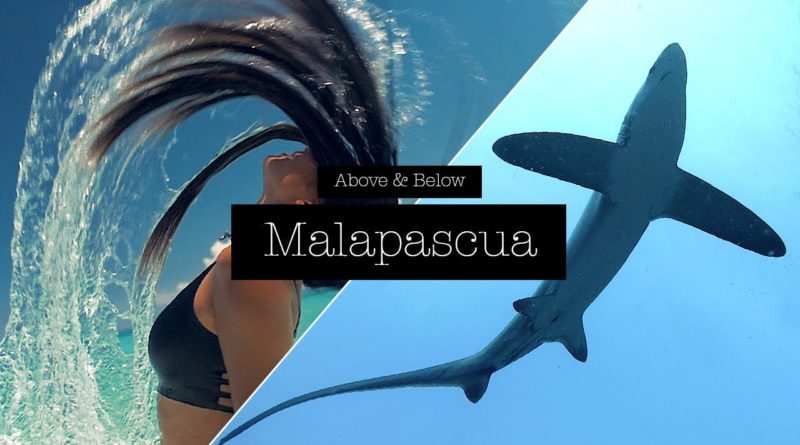 Die Philippinen im Video - Über und unter der Insel Malapascua mit den Fuchshaien