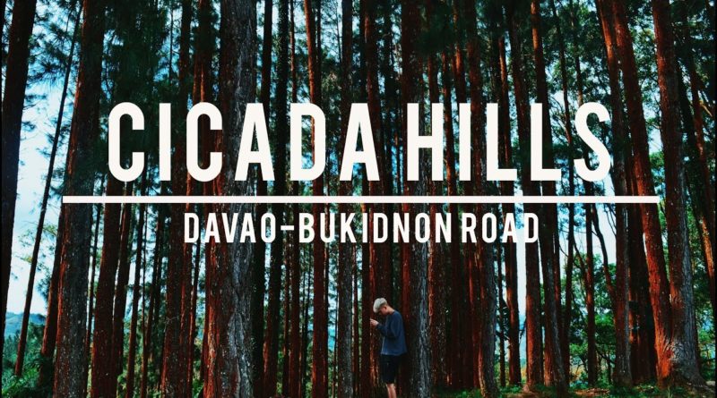 Die Philippinen im Video - Impressionen von den Cicadia Hills auf der Strasse in Buda in der Bergregion zwischen Bukidnon und Davao.