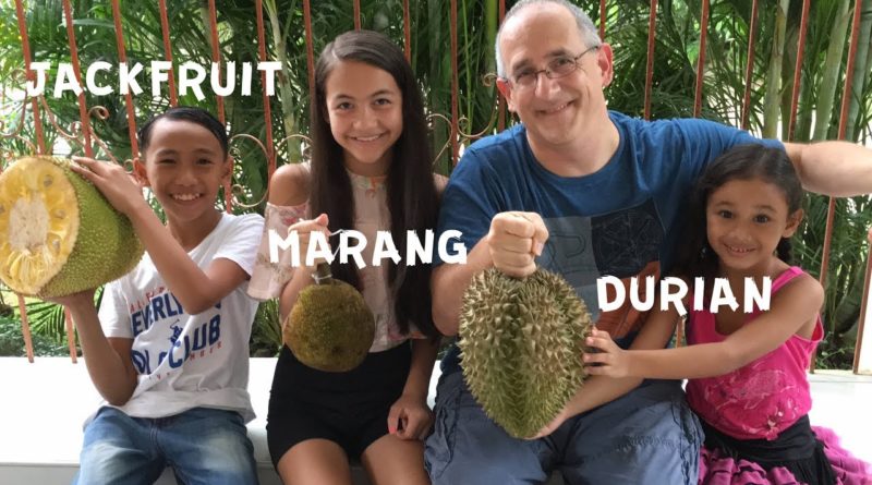 Die Philippinen im Video - Früchte probieren - Durian - Jackfruit - Marang