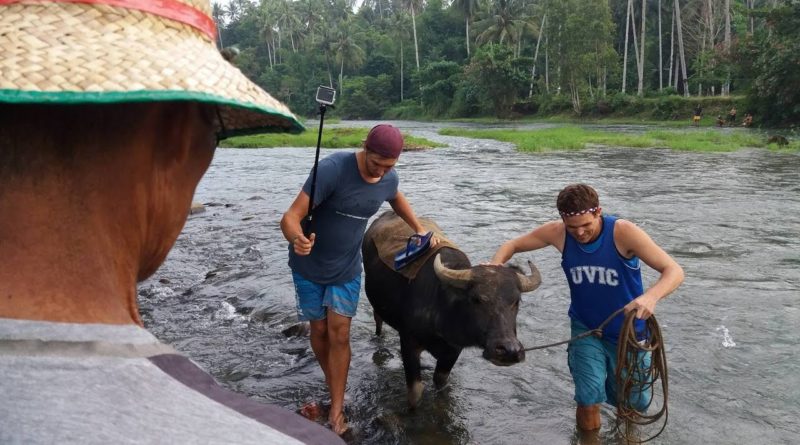 Die Philippinen im Video - Mit dem Wasserbüffel-Carabao über und durch den Fluss