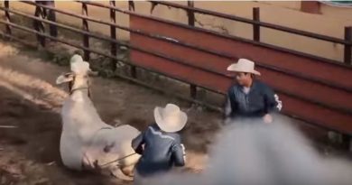Die Philippinen im Video - Die Cowboys von Masbate