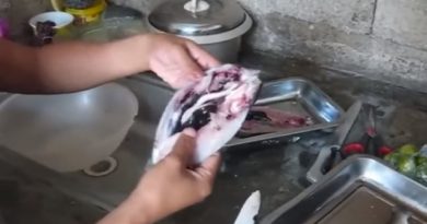 Die Philippinen im Video - Wir machen Trockenfisch mit Marife