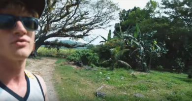 Die Philippinen im Video - Ein schöner Baum in Antique