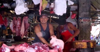 Die Philippinen im Video - Metzger bei der Arbeit auf dem Markt