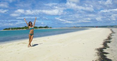 Die Philippinen im Video - Virgin Island mit ausländischem Besuch