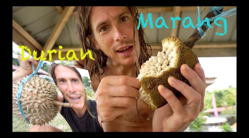 Die Philippinen im Video - Marang & Durian auf Samal essen