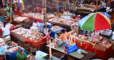 Die Philippinen im Video - Auf dem Bauernmarkt in Miagao