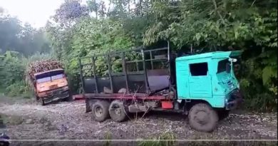 Die Philippinen im Video - Mühevolles Zuckerrohr vom Feld holen in Bukidnon