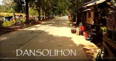 Die Philippinen im Video - Straßenhalt in Dansolihon zum Obst und Gemüseeinkauf Video: Sir Dieter Sokoll KR