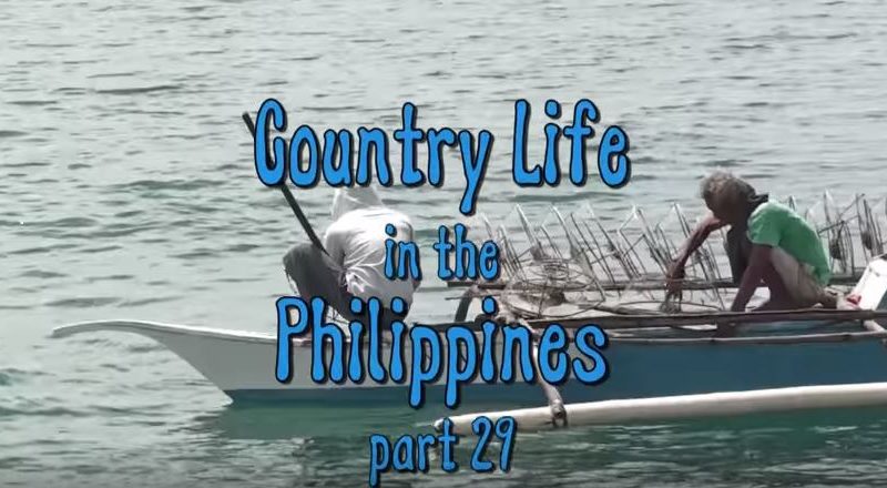 Die Philippinen im Video - Leben auf dem Lande 29 in der Inselprovinz Cebu