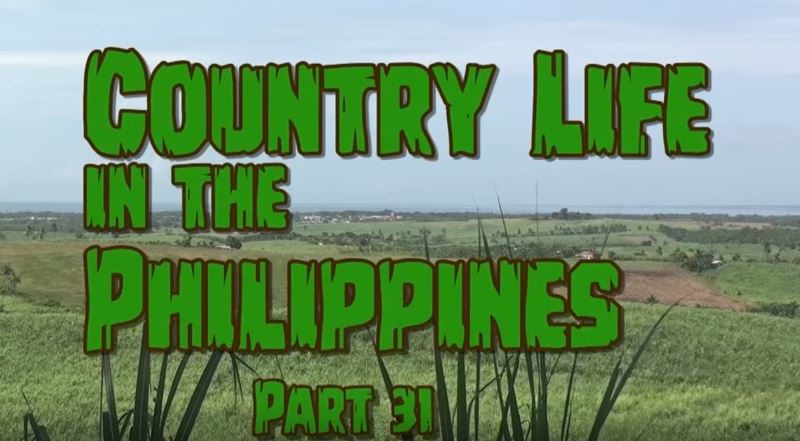 Die Philippinen im Video - Leben auf dem Lande - Teil 31
