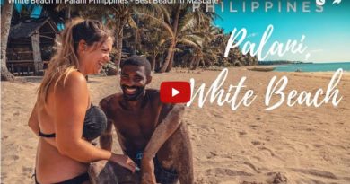 Die Philippinen im Video - Am weißen Strand von Palani auf Masbate