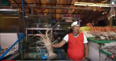 Die Philippinen im Video - Feilschen für Seafood am Dampa Sea Side Markt in Metro Manila