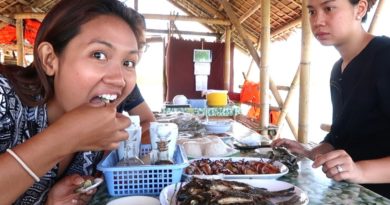 Die Philippinen im Video - Die Seafood Hauptstadt Roxas