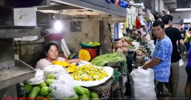 Die Philippinen im Video - Emilio geht zum Markt in Dumaguete