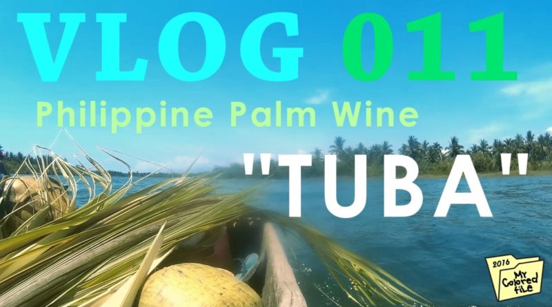 Die Philippinen im Video - Tuba - Philippinischer Palmwein