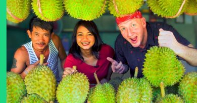 Die Philippinen im Video - Davao Durian Tour