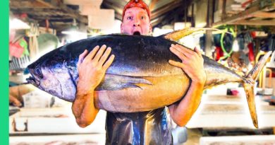 Die Philippinen im Video - Yellow Tuna - Thunfischküche von Davao