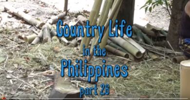 Die Philippinen im Video - Leben auf dem Lande - Teil 26