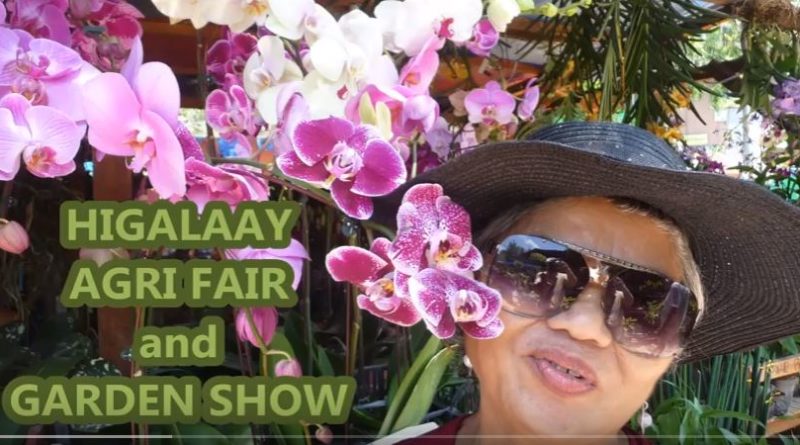 Die Philippinen im Video - Gartenschau am Gaston Park zur Fiesta 2018 Foto & Video: Sir Dieter Sokoll KR