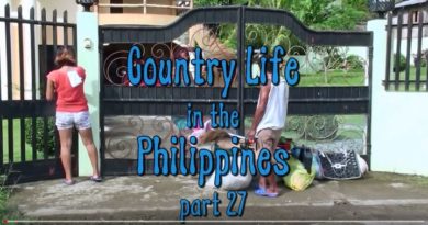 Die Philippinen im Lande - Leben auf dem Lande - Teil 27