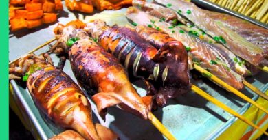 Die Philippinen im Video - Streetfood auf den Roxas Night Market in Davao