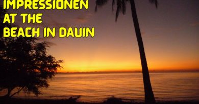 Die Philippinen im Video - Impressionen am Strand von Dauin Foto & Video von Sir Dieter Sokoll