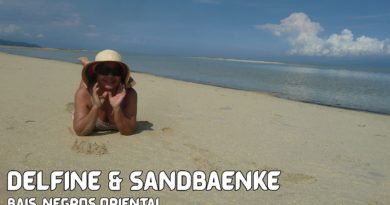 Die Philippinen im Video - Die Delfine & Sandbänke von Bais Foto & Video von PHILIPPINEN MAGAZIN