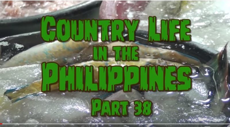 Die Philippinen im Video - Leben auf dem Lande - Teil 38