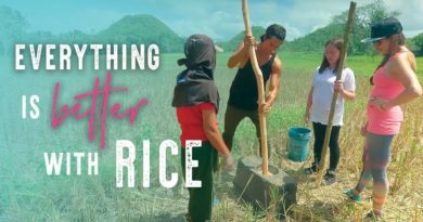 Die Philippinen im Video - Wir haben einen Tag auf der Reisfarm gearbeitet