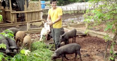 Die Philippinen im Video - Landschaften und Eindrücke aus Bukidnon