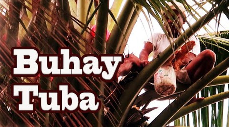 Die Philippinen im Video - Kokospilot - Buhay Tuba
