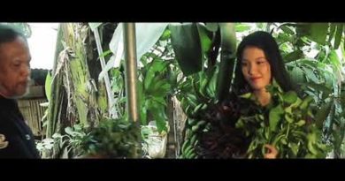 Die Philippinen im Video - Philippinische Delikatessen: Pancit Kalabuko von San Pablo