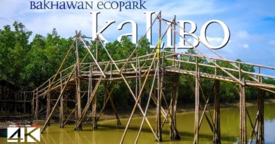 Die Philippinen im Video - Der Bakhawan Eco-Park in Kalibo von oben gesehen