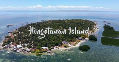 Die Philippinen im Videoo - Die Insel Hingotanan in Bien Unido auf Bohol