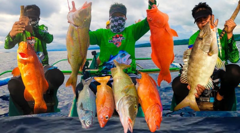 Die Philippinen im Video - Ich habe wunderschöne erstklassige Fische gefangen