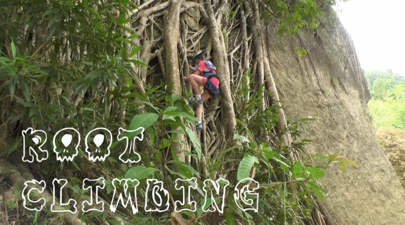 Die Philippinen im Video - Baumwurzelklettern und Abseilen im Danao Abenteuerpark