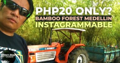 Die Philippinen im Video - Im Bambuswald von Medellin Cebu