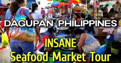 Die Philippinen im Video - Verrückter Meeresfrüchtemarkt in Dagupan