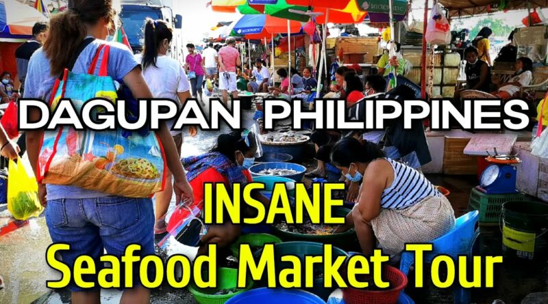 Die Philippinen im Video - Verrückter Meeresfrüchtemarkt in Dagupan