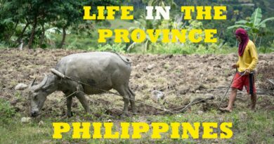 Die Philippinen im Video - Philippinisches Landleben