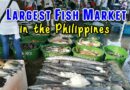 Die Philippinen im Video - Navotas Fischereihafen in Metro Manila