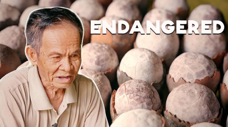 Die Philippinen im Video - Eines der seltensten Salze der Welt kommt von den Philippinen (Asin Tibuok)
