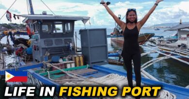 Die Philippinen im Video - Das Leben im Fischereihafen
